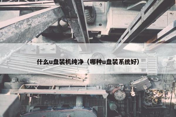 什么u盘装机纯净（哪种u盘装系统好）