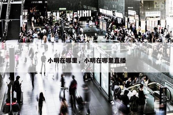 小明在哪里，小明在哪里直播