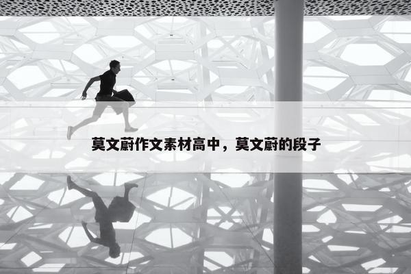 莫文蔚作文素材高中，莫文蔚的段子