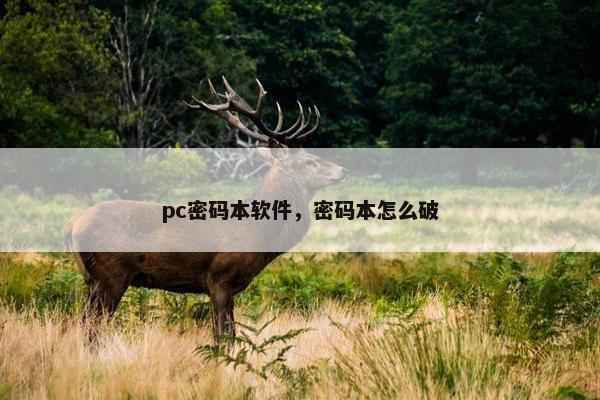 pc密码本软件，密码本怎么破