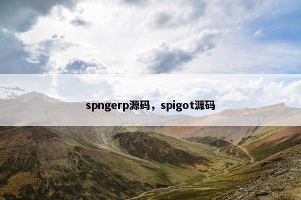 spngerp源码，spigot源码