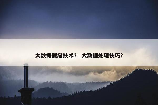 大数据裁缝技术？ 大数据处理技巧？