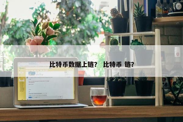 比特币数据上链？ 比特币 链？
