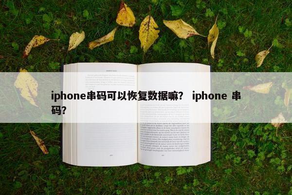 iphone串码可以恢复数据嘛？ iphone 串码？