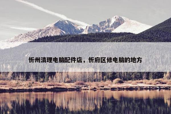 忻州清理电脑配件店，忻府区修电脑的地方