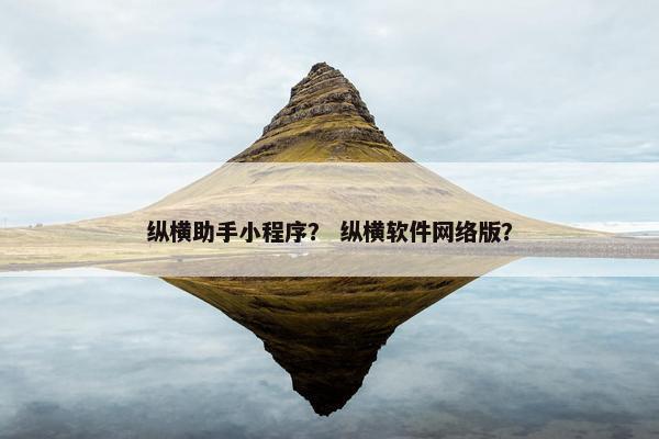 纵横助手小程序？ 纵横软件网络版？