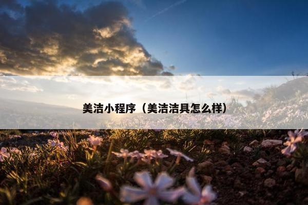 美洁小程序（美洁洁具怎么样）