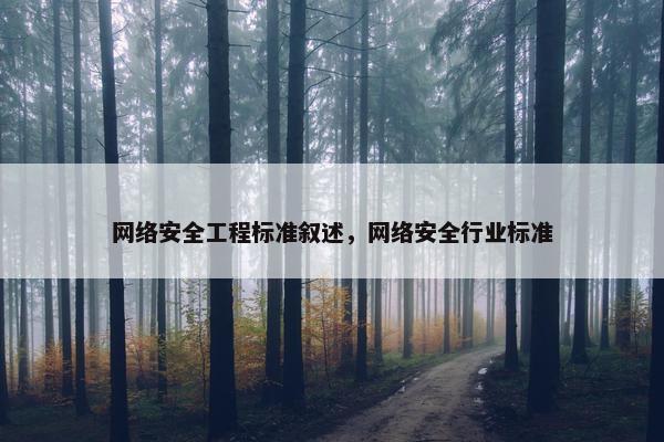网络安全工程标准叙述，网络安全行业标准
