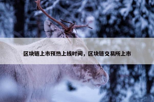 区块链上市预热上线时间，区块链交易所上市