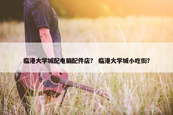 临港大学城配电脑配件店？ 临港大学城小吃街？