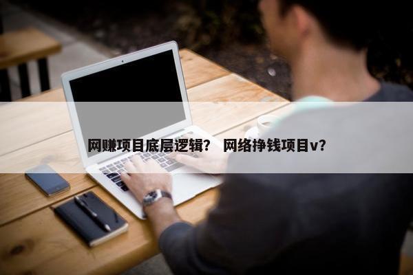 网赚项目底层逻辑？ 网络挣钱项目v？