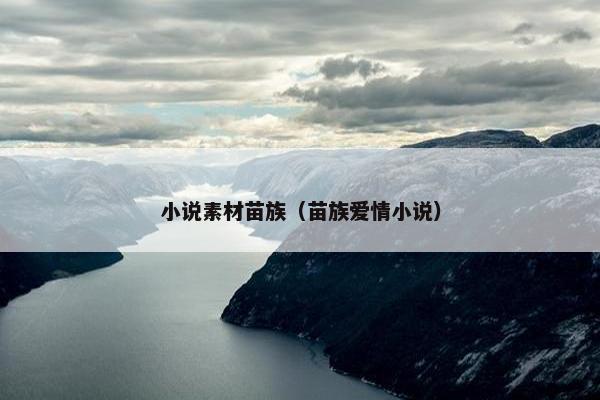小说素材苗族（苗族爱情小说）