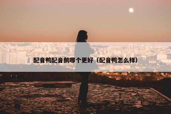 配音鸭配音鹅哪个更好（配音鸭怎么样）