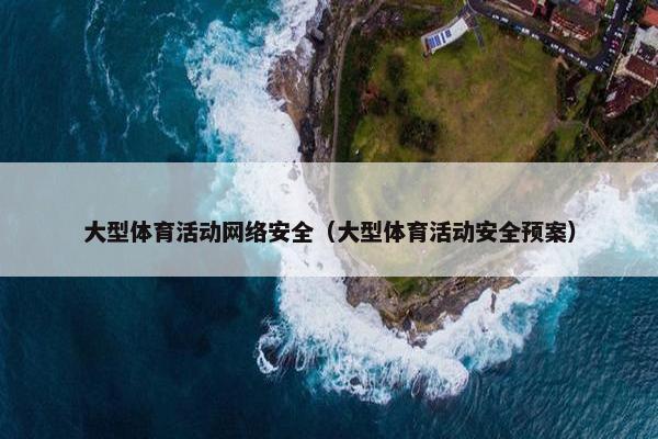 大型体育活动网络安全（大型体育活动安全预案）