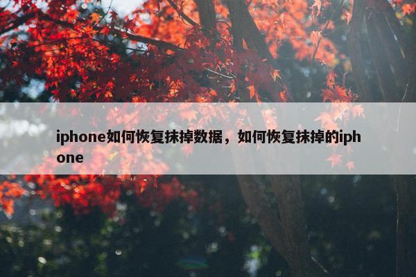 iphone如何恢复抹掉数据，如何恢复抹掉的iphone
