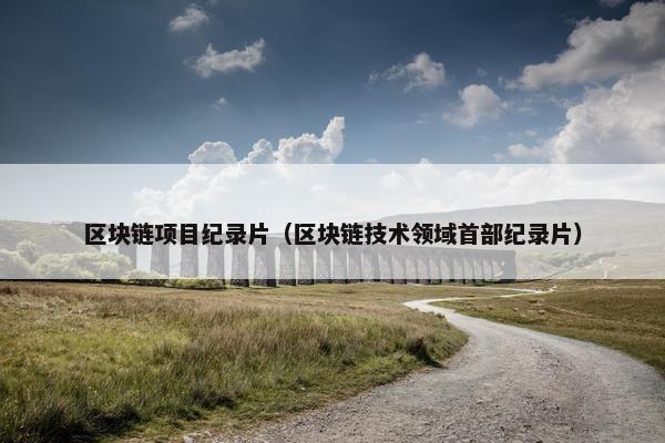 区块链项目纪录片（区块链技术领域首部纪录片）