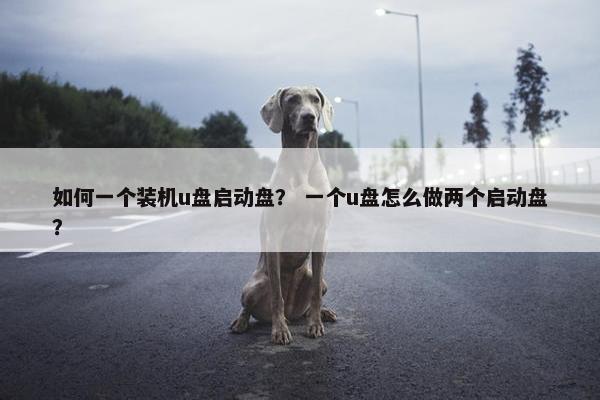 如何一个装机u盘启动盘？ 一个u盘怎么做两个启动盘？