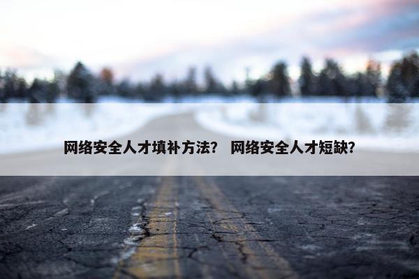 网络安全人才填补方法？ 网络安全人才短缺？