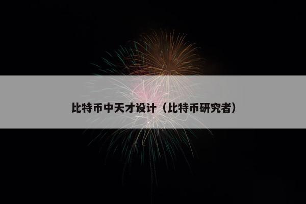 比特币中天才设计（比特币研究者）