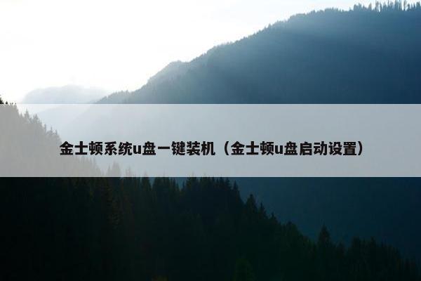 金士顿系统u盘一键装机（金士顿u盘启动设置）
