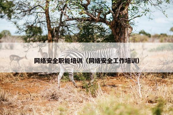 网络安全职能培训（网络安全工作培训）