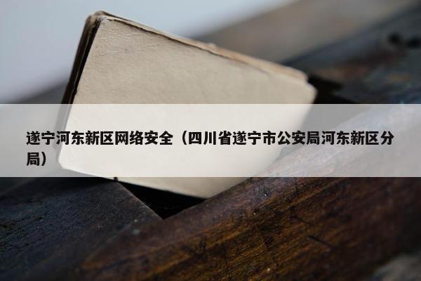遂宁河东新区网络安全（四川省遂宁市公安局河东新区分局）
