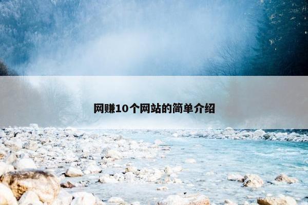 网赚10个网站的简单介绍