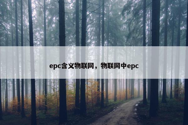 epc含义物联网，物联网中epc