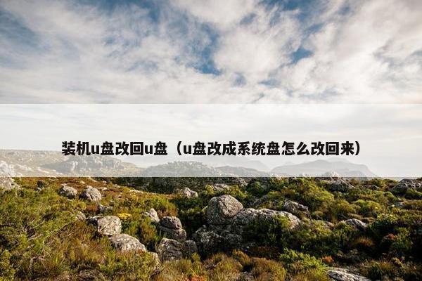 装机u盘改回u盘（u盘改成系统盘怎么改回来）