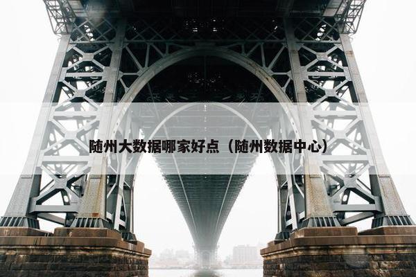 随州大数据哪家好点（随州数据中心）