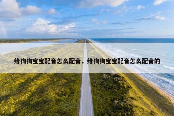 给狗狗宝宝配音怎么配音，给狗狗宝宝配音怎么配音的