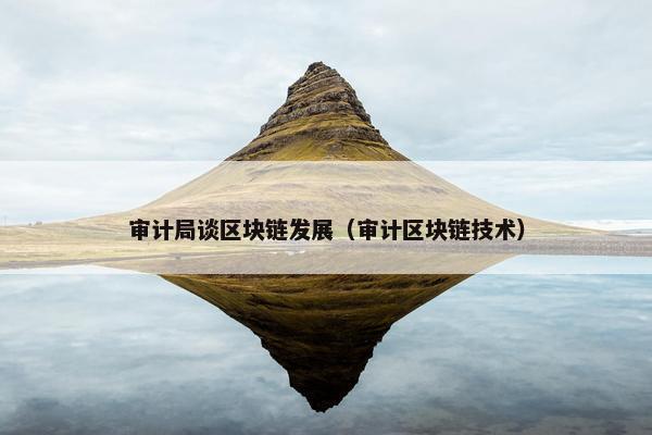 审计局谈区块链发展（审计区块链技术）