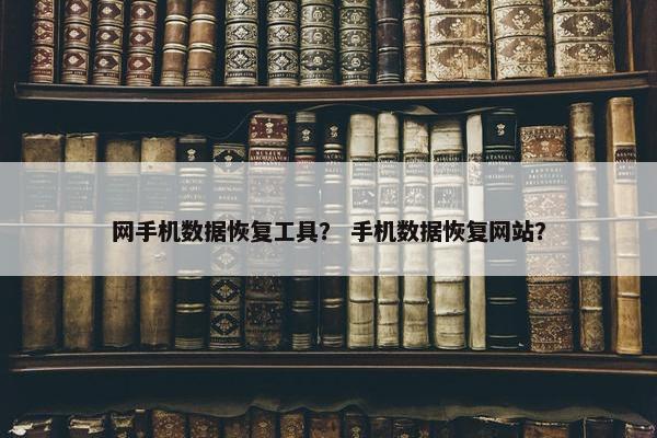 网手机数据恢复工具？ 手机数据恢复网站？