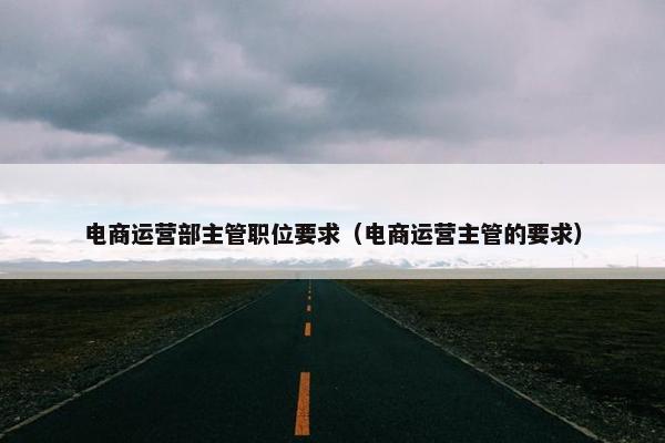 电商运营部主管职位要求（电商运营主管的要求）
