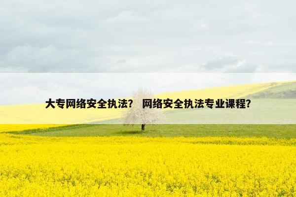 大专网络安全执法？ 网络安全执法专业课程？