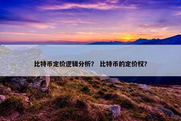 比特币定价逻辑分析？ 比特币的定价权？