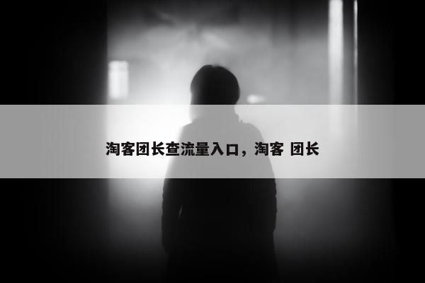 淘客团长查流量入口，淘客 团长