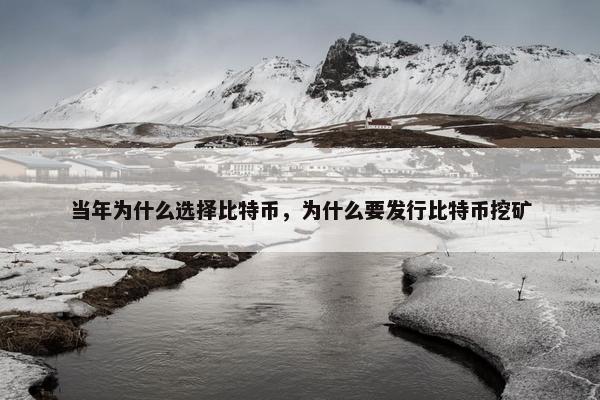 当年为什么选择比特币，为什么要发行比特币挖矿