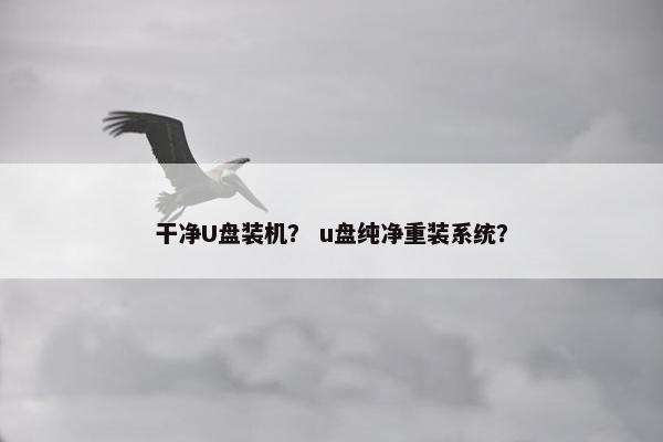 干净U盘装机？ u盘纯净重装系统？
