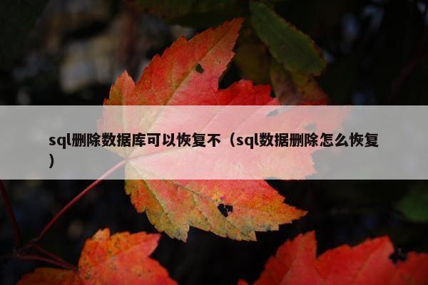 sql删除数据库可以恢复不（sql数据删除怎么恢复）