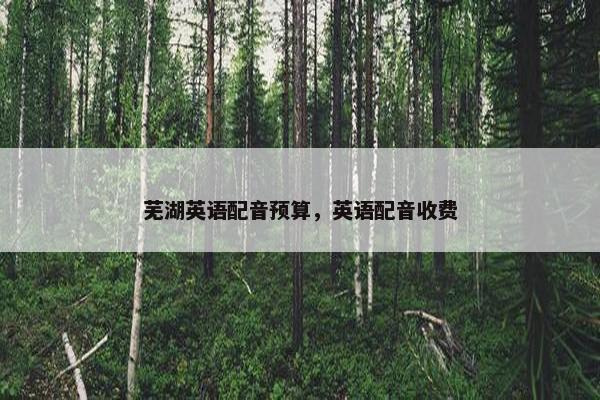 芜湖英语配音预算，英语配音收费