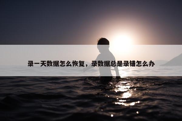 录一天数据怎么恢复，录数据总是录错怎么办