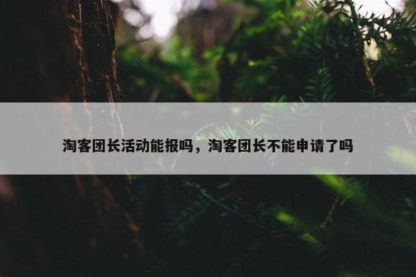 淘客团长活动能报吗，淘客团长不能申请了吗