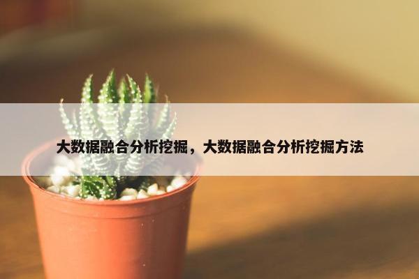 大数据融合分析挖掘，大数据融合分析挖掘方法