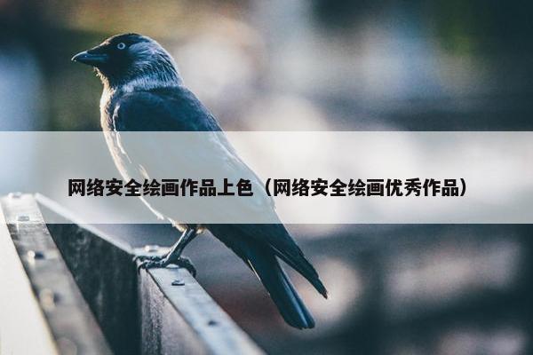 网络安全绘画作品上色（网络安全绘画优秀作品）