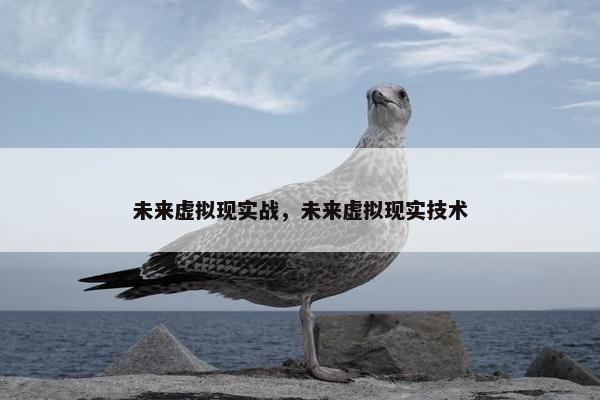 未来虚拟现实战，未来虚拟现实技术