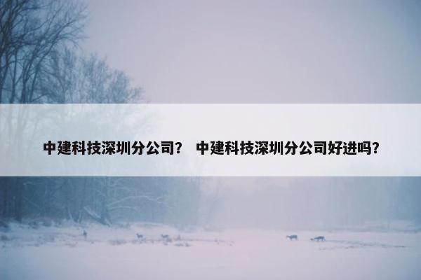 中建科技深圳分公司？ 中建科技深圳分公司好进吗？