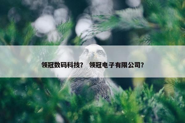 领冠数码科技？ 领冠电子有限公司？
