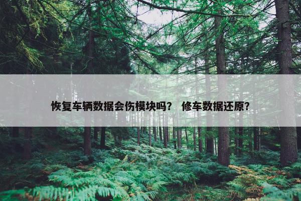 恢复车辆数据会伤模块吗？ 修车数据还原？