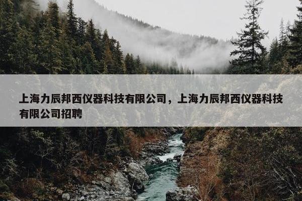 上海力辰邦西仪器科技有限公司，上海力辰邦西仪器科技有限公司招聘